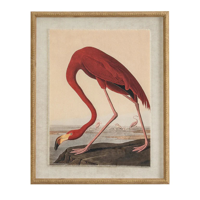 Art & Prints