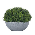 Small Hebe Globe Pot