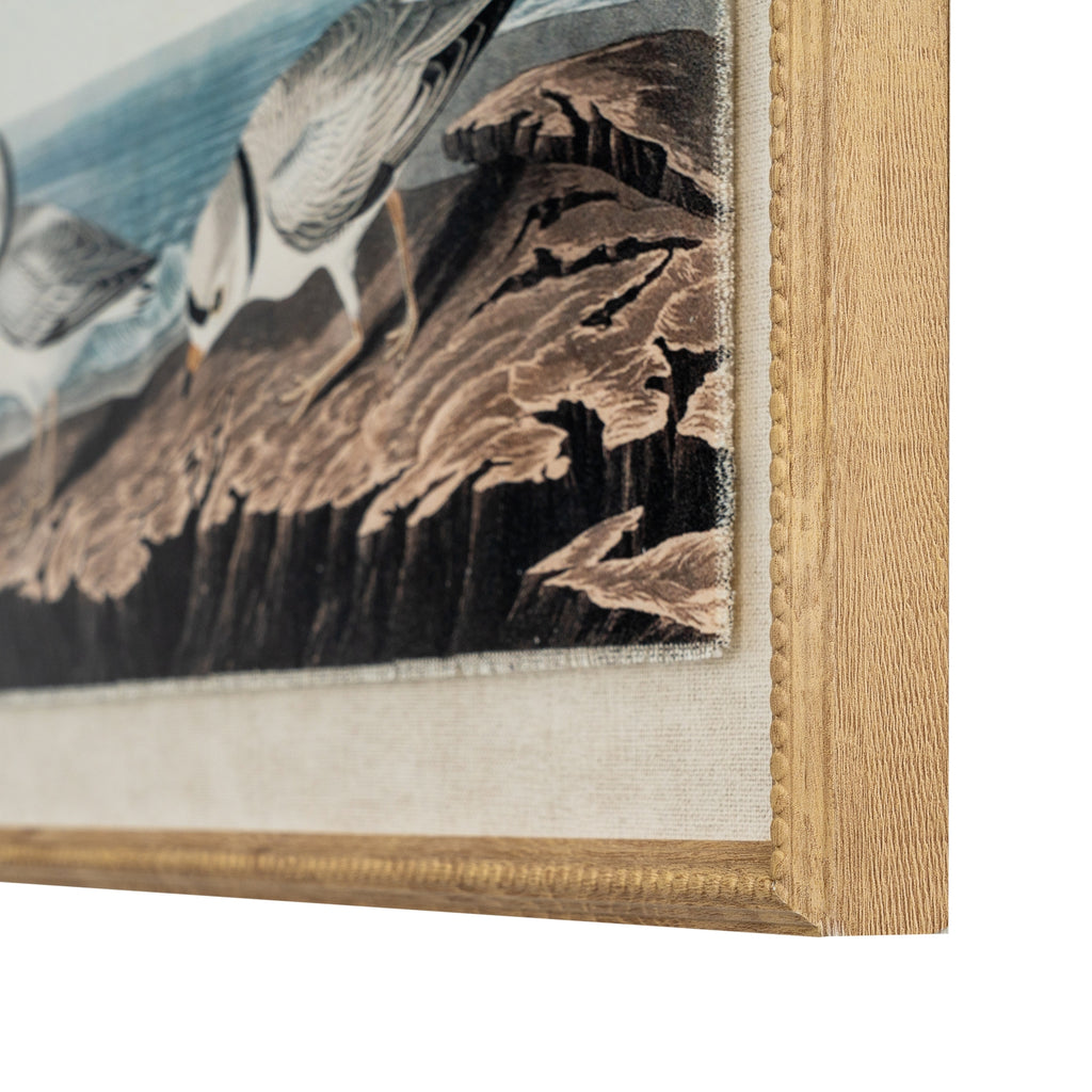 Flora & Fauna Collection Plovers On Linen In Beaded Frame