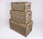 Wovenhill Kubu Rattan Storage Hamper